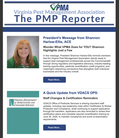 Pmpreportercover