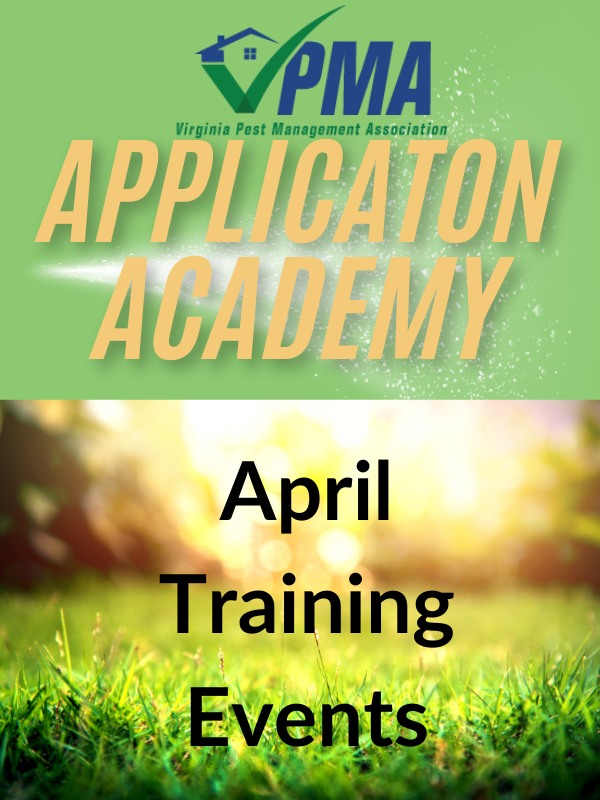 Know Before You Go: NOVA Application Academy